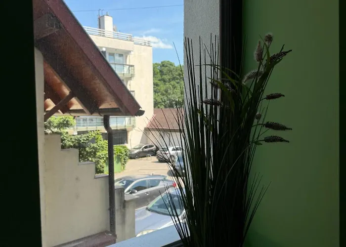 Gracia ヘーヴィーズ